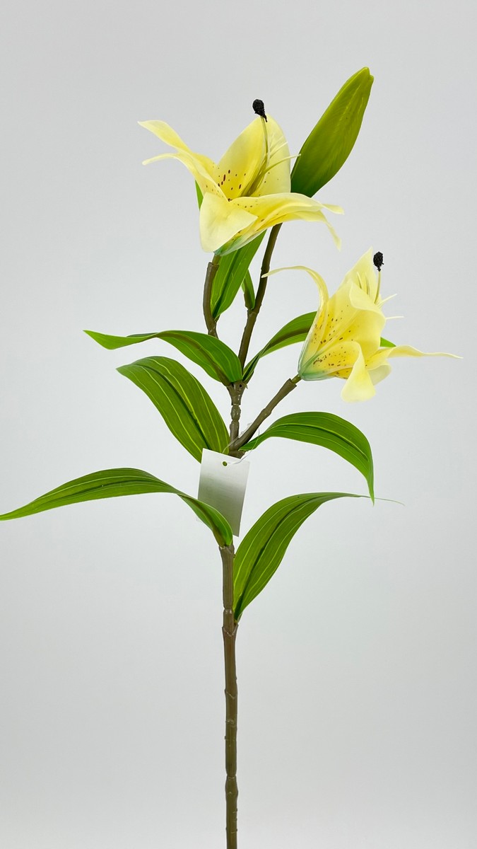 Лилия FL-QH006  Интернет-магазин Feron Flower 