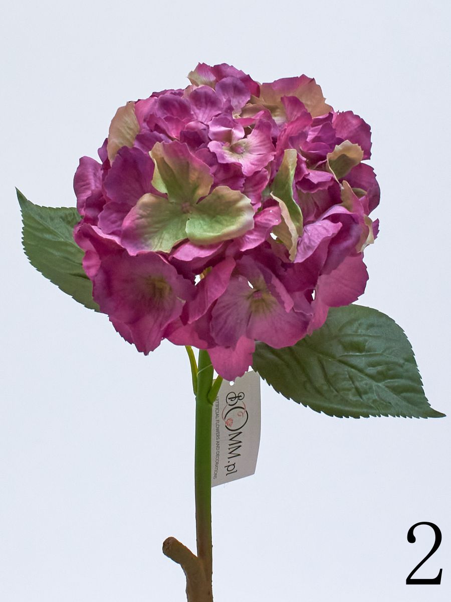 Гортензия latex GK096  Интернет-магазин Feron Flower 