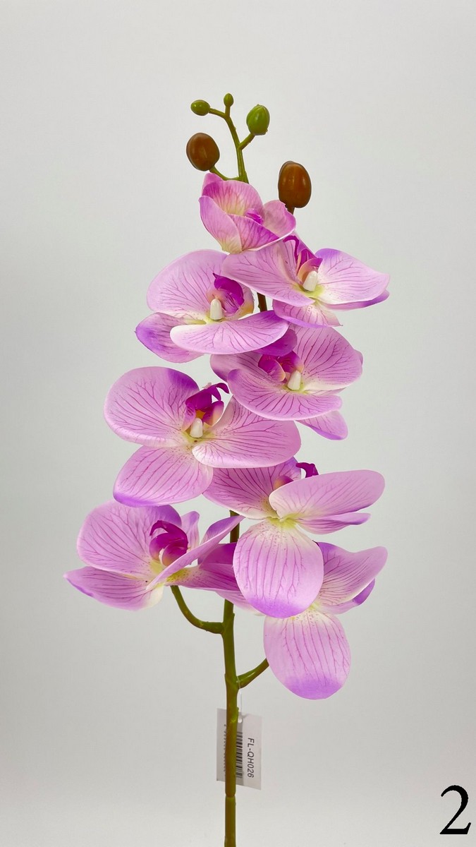 Орхидея FL-QH026  Интернет-магазин Feron Flower 