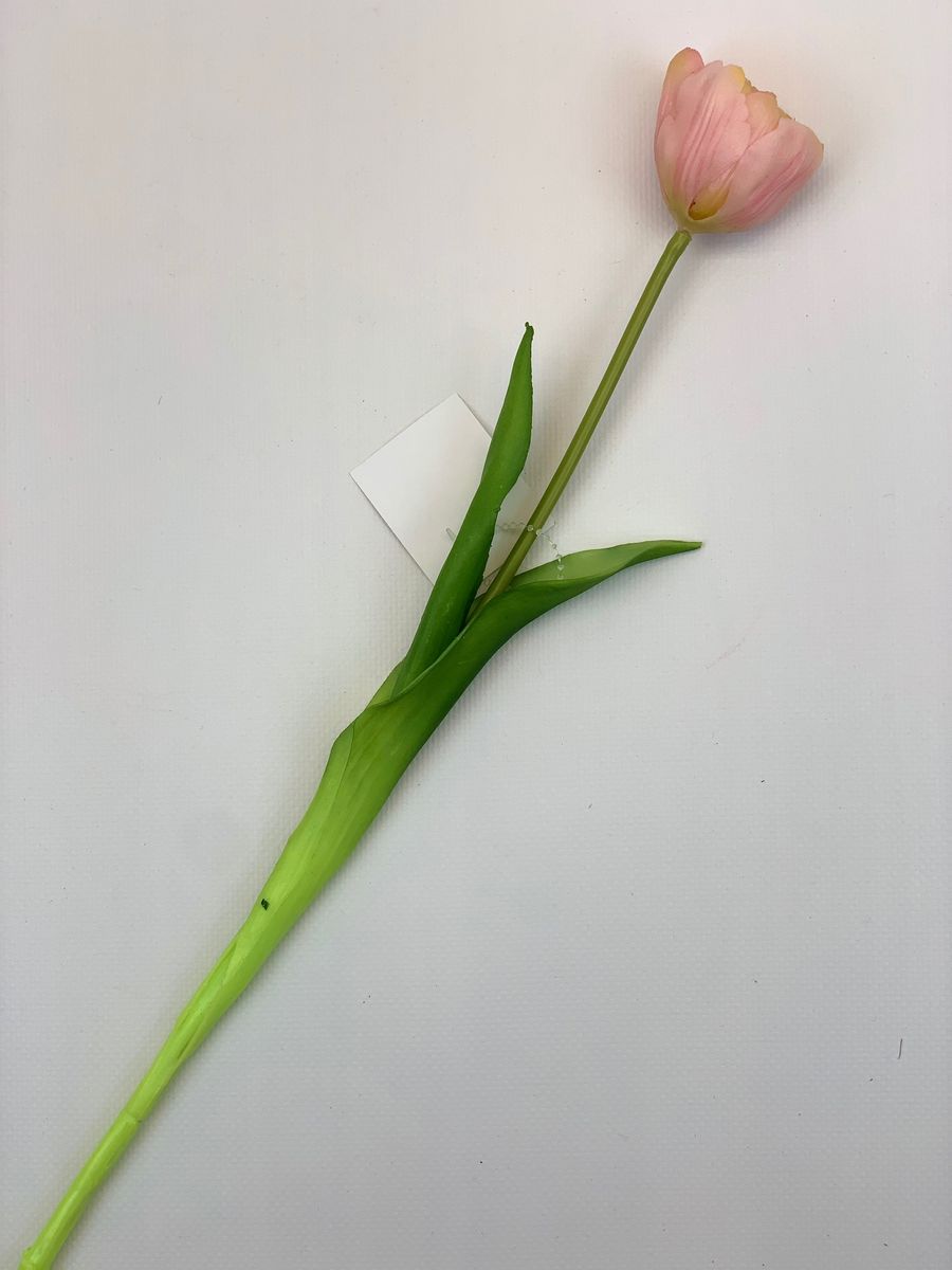 Тюльпан K04036  Интернет-магазин Feron Flower 