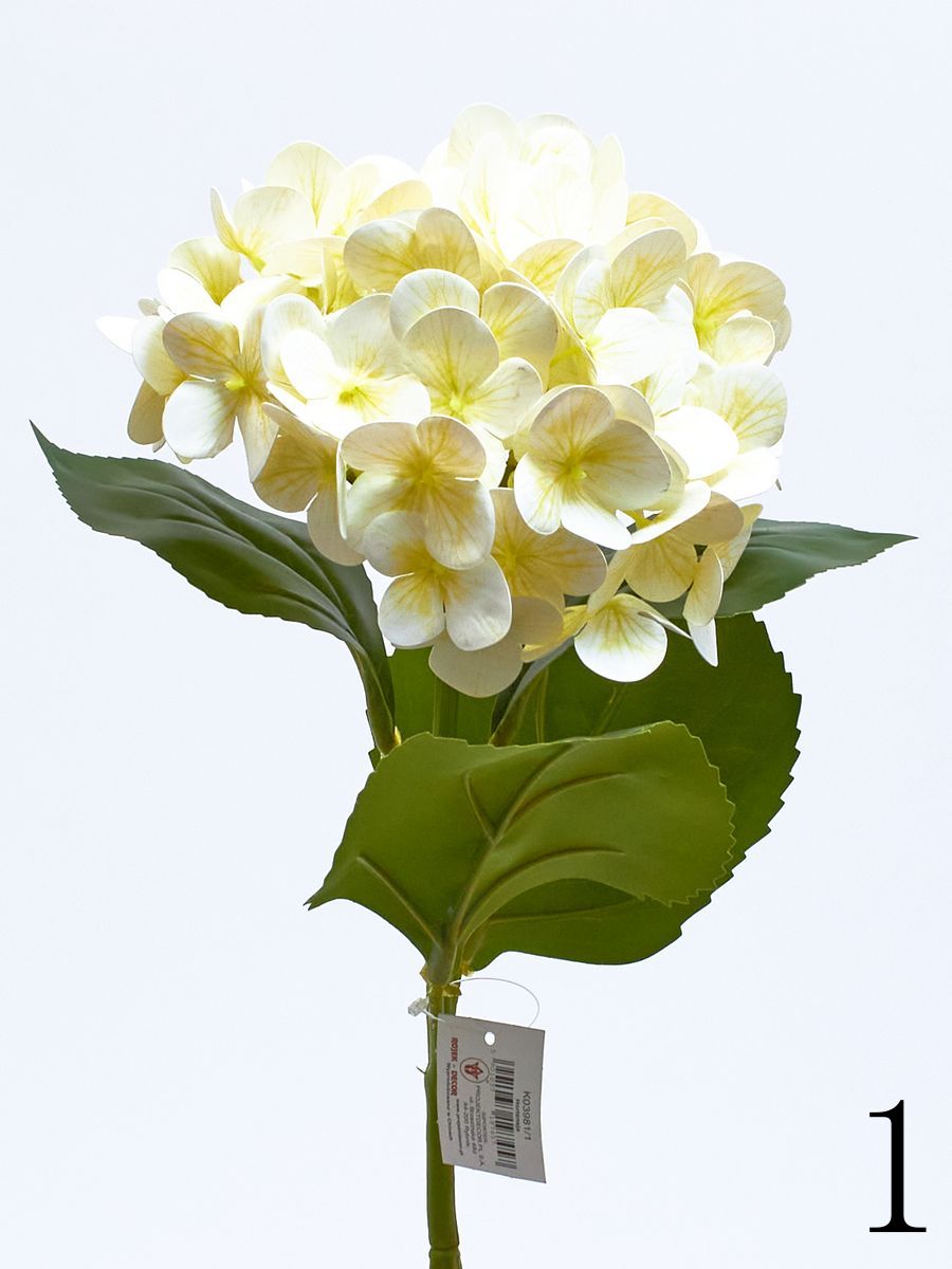 Гортензия K03981  Интернет-магазин Feron Flower 