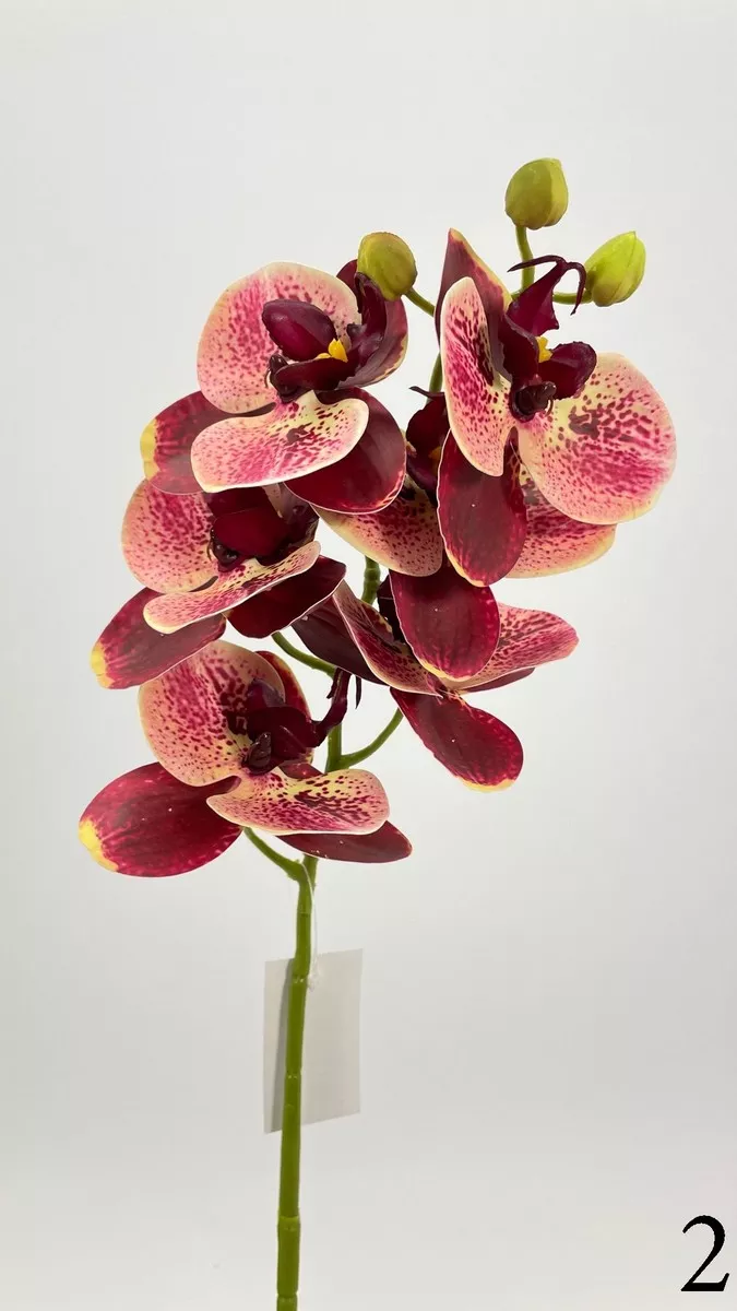 Орхидея FL-QH029  Интернет-магазин Feron Flower 