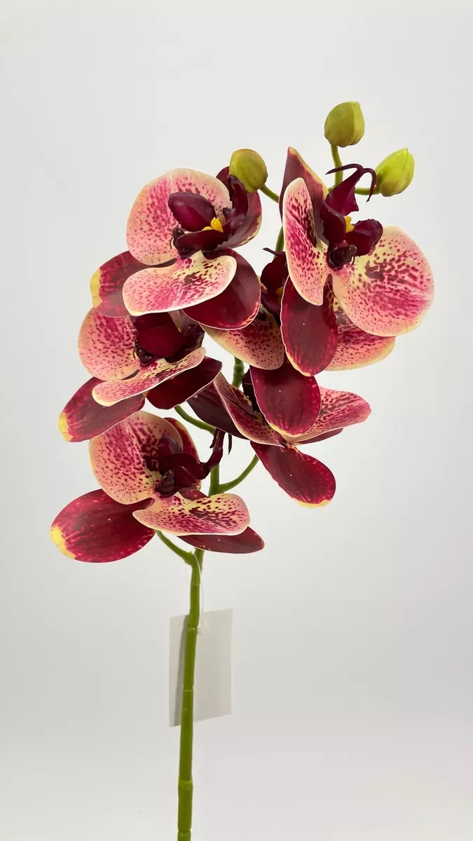 Орхидея FL-QH029  Интернет-магазин Feron Flower 