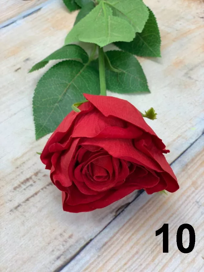 Роза SUN490  Интернет-магазин Feron Flower 