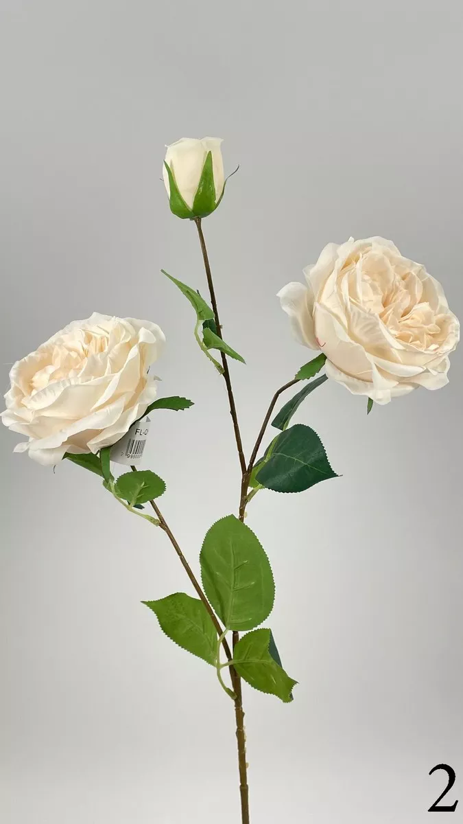 Роза кустовая FL-QH005  Интернет-магазин Feron Flower 